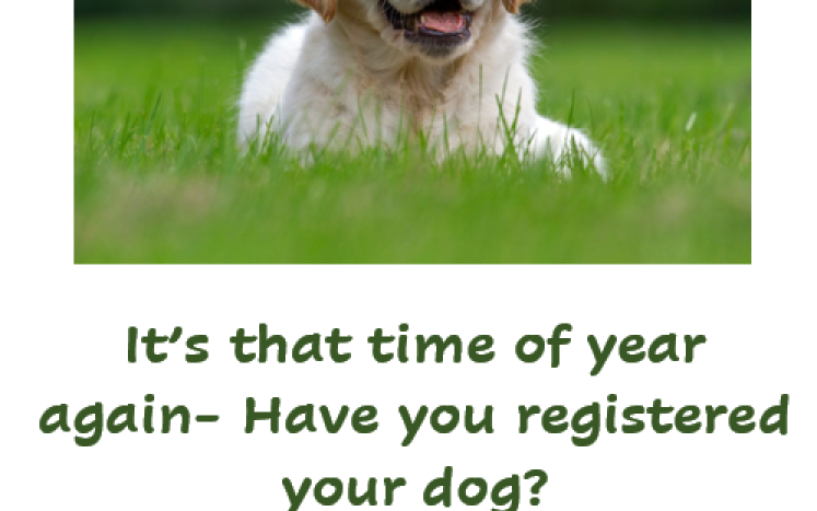 dog registration